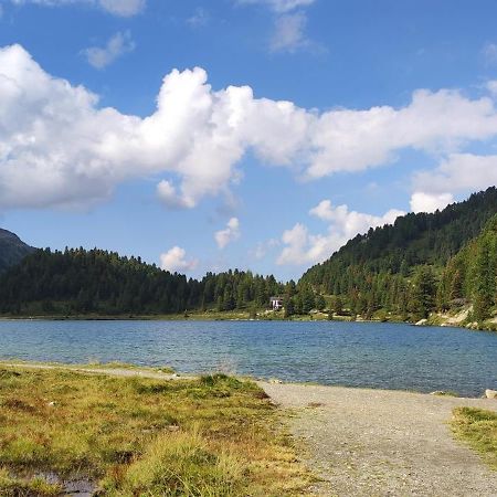 Pension Fuerhapter Mit Bio- Bauernhof Sankt Jakob in Defereggen Exteriör bild