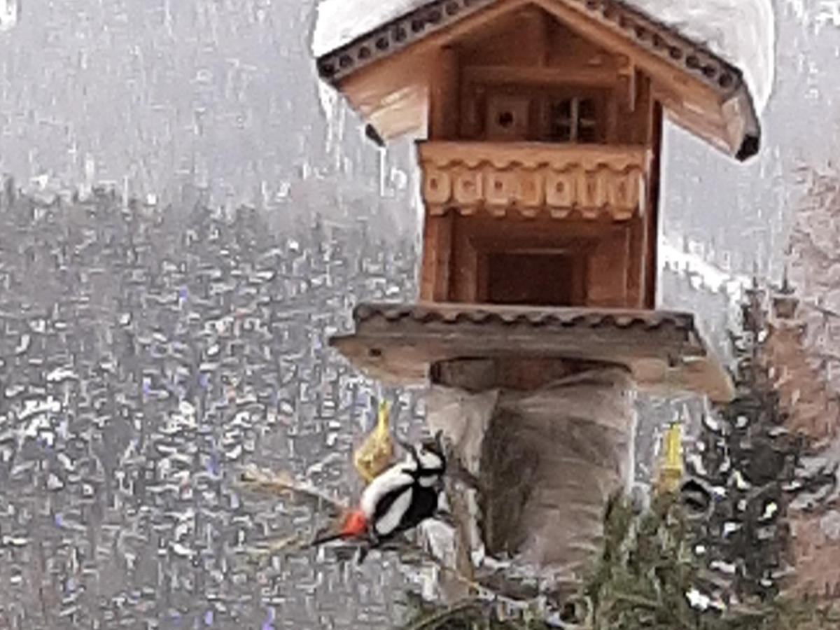 Pension Fuerhapter Mit Bio- Bauernhof Sankt Jakob in Defereggen Exteriör bild