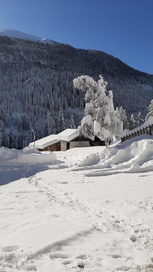 Pension Fuerhapter Mit Bio- Bauernhof Sankt Jakob in Defereggen Exteriör bild